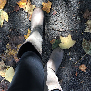 Meet your Posher, Millie